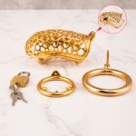 24k Gold Plated Snake Chastity Device Metal Cock Cage - Image 8