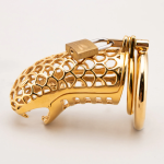 Gold Plated Stainless Steel Snake Chastity Cage Hollow Cock Cage - Image 8