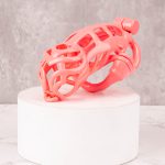 Bullhead Triple Lock Lightweight Chastity Cage - Image 22