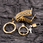 Gold Plated Stainless Steel Snake Chastity Cage Hollow Cock Cage - Image 6