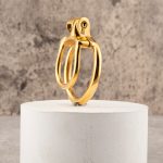 Open Stainless Steel Chastity Cage Training Ring - Image 11