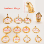 Gold Plated Stainless Steel Snake Chastity Cage Hollow Cock Cage - Image 5