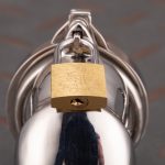 Stainless Steel Cock Cage Metal Chastity Cage With Anti Slip Ring - Image 8