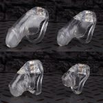 Ice Transparent Simulation Penis Chastity Cage Clear Realistic Cock Cage