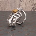 Hollow Stainless Steel Chastity Cage Metal Cock Cage Round Ring