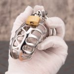 Hollow Stainless Steel Chastity Cage Metal Cock Cage With Anti Slip Ring - Image 5