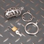Hollow Stainless Steel Chastity Cage Metal Cock Cage With Anti Slip Ring - Image 7