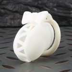 Resin 3D Printed Chastity Cage with Bowknot Design - 4 Sizes Resin Chastity Device Lightweight Male Chastity Lock with 2 Keys & 4 Replacement Rings