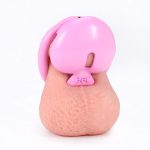 Pink Heart Chastity Cage with 4 Size Rings, Resin 3D Printed Male Chastity Device with Urinary Hole, Lightweight Comfortable Chastity Lock Set for Men - Image 10